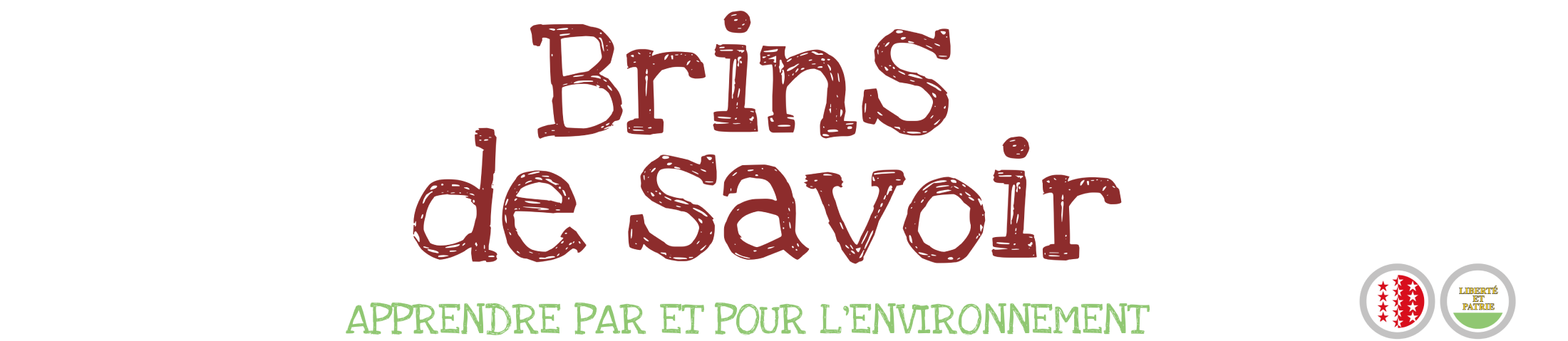 Association Brins de savoir